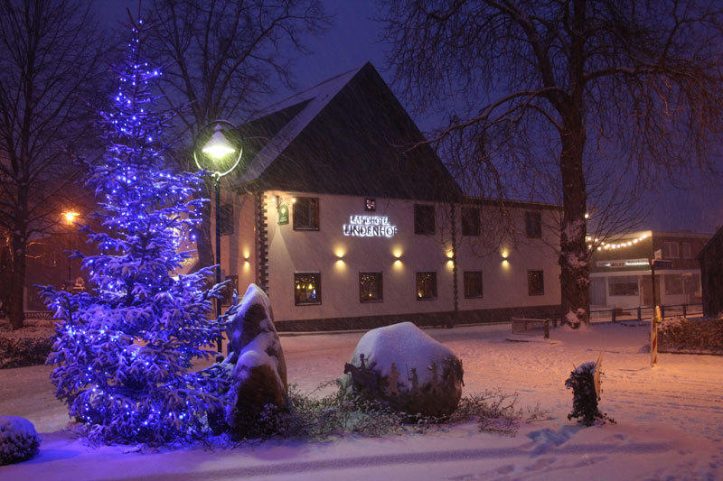 غرفنبرويش Landhotel Lindenhof المظهر الخارجي الصورة